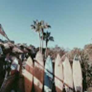 Meet your Posher, Savannah